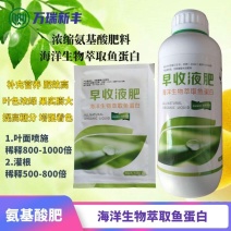 早收液肥氨基酸肥料超浓缩叶面肥开花座果膨大着色增产