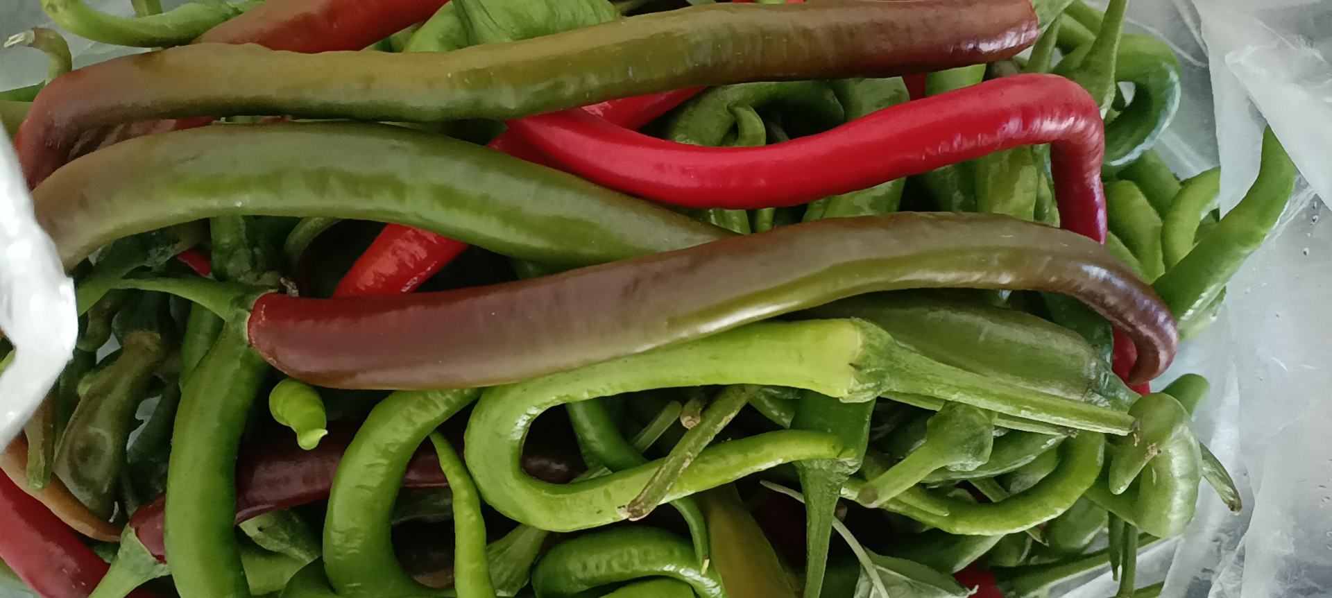 展示尖椒的主要营养成分及对应功效的图表 尖椒营养成分分析图