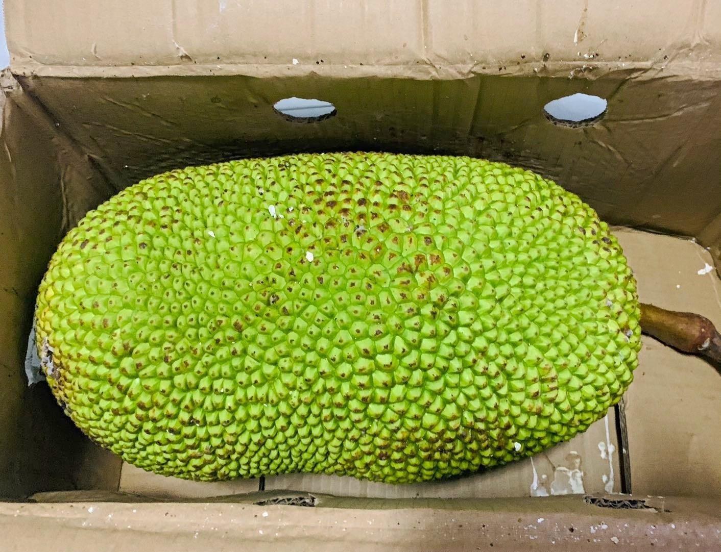 菠萝果肉与营养成分表