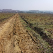1800亩集体土地，大面积，水浇地，旱地出租流转