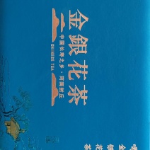 金银花茶