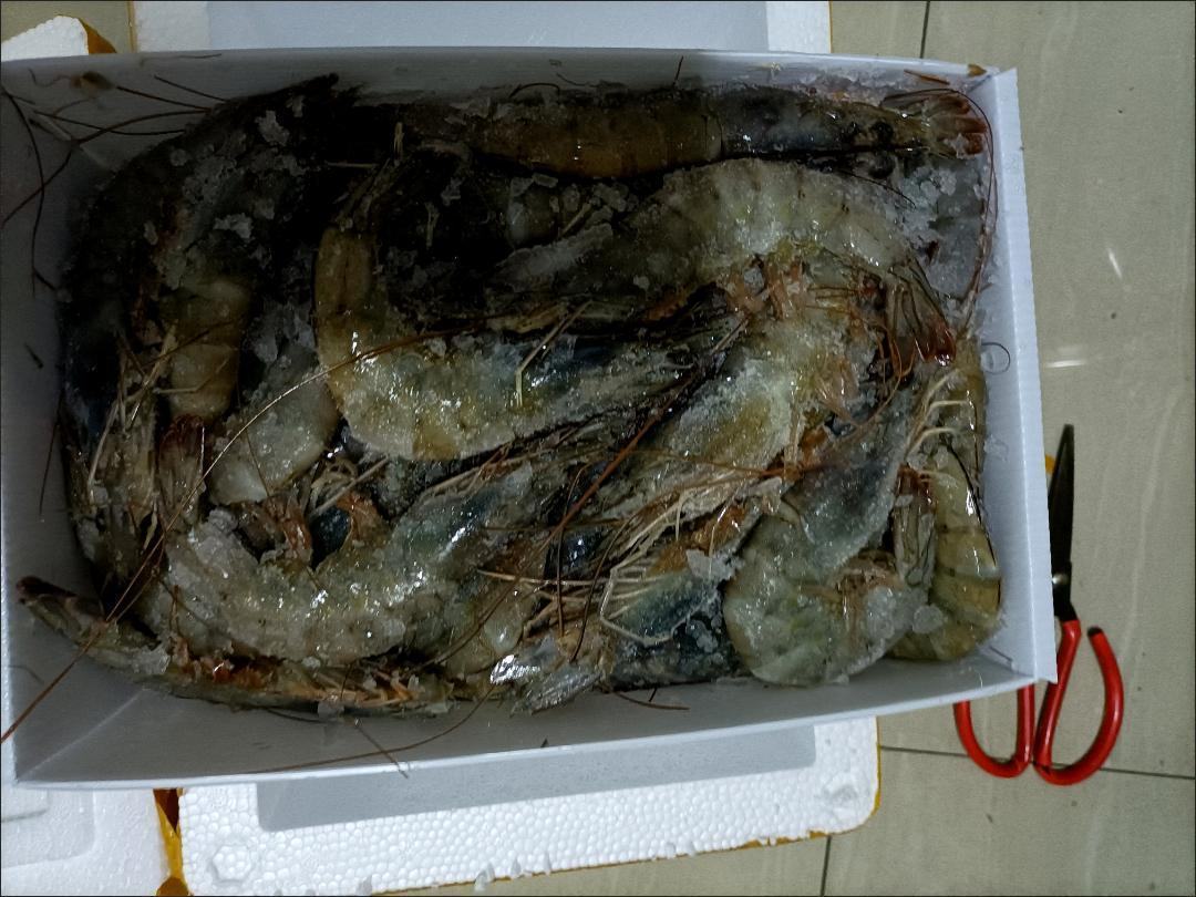 展示对虾在不同温度下的保存方式及时间建议,强调冷藏与速冻的重要性 对虾保存方式示意图