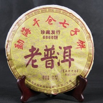 批发普洱茶老普洱饼五年干仓勐海干仓七子饼357