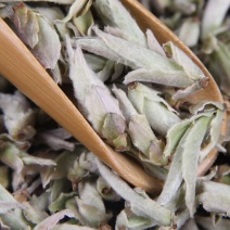 批发云南ye生茶树茶叶白芽苞春茶白芽孢普洱茶生茶