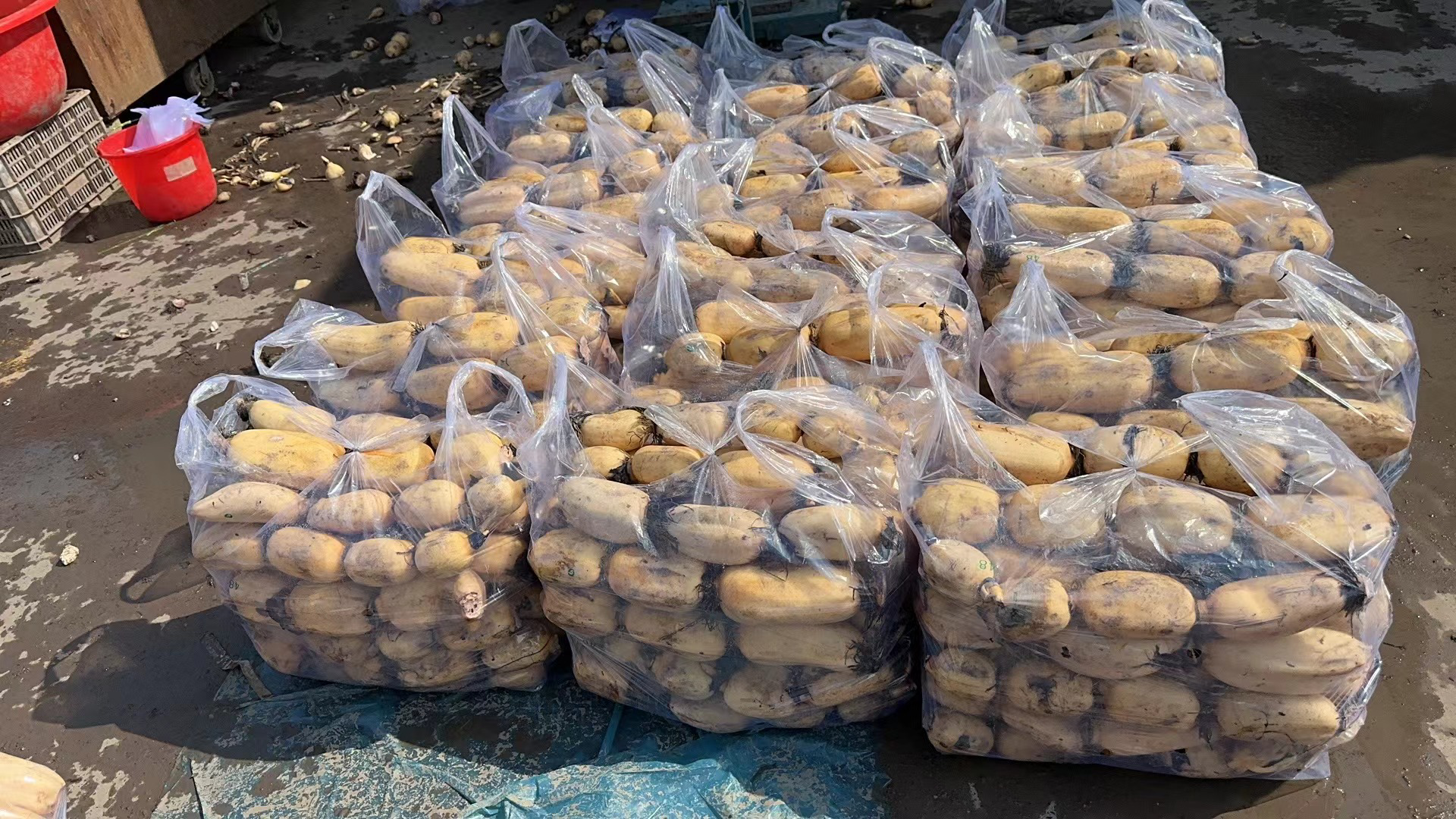 农贸市场摊位上陈列着多个玻璃罐,分别装有不同规格的白莲子,标签注明产地、等级和价格,摊主正在称重打包,背景有新鲜莲蓬和莲藕,展现白莲子产业链的终端销售场景 白莲子市场展示图