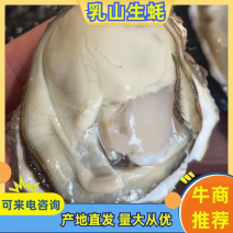 乳山生蚝基地直供批发量大价优欢迎咨询下单