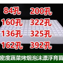 育苗盘常年供应