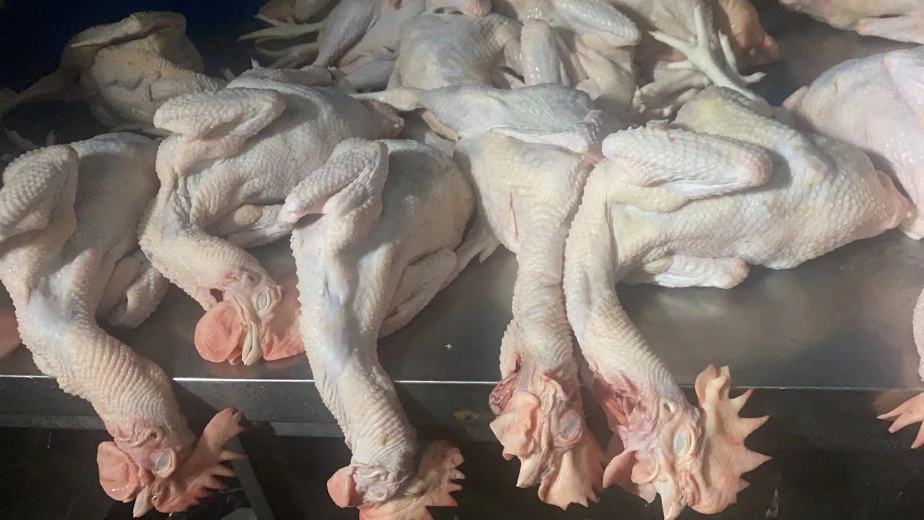 白萝卜切片与炖汤场景