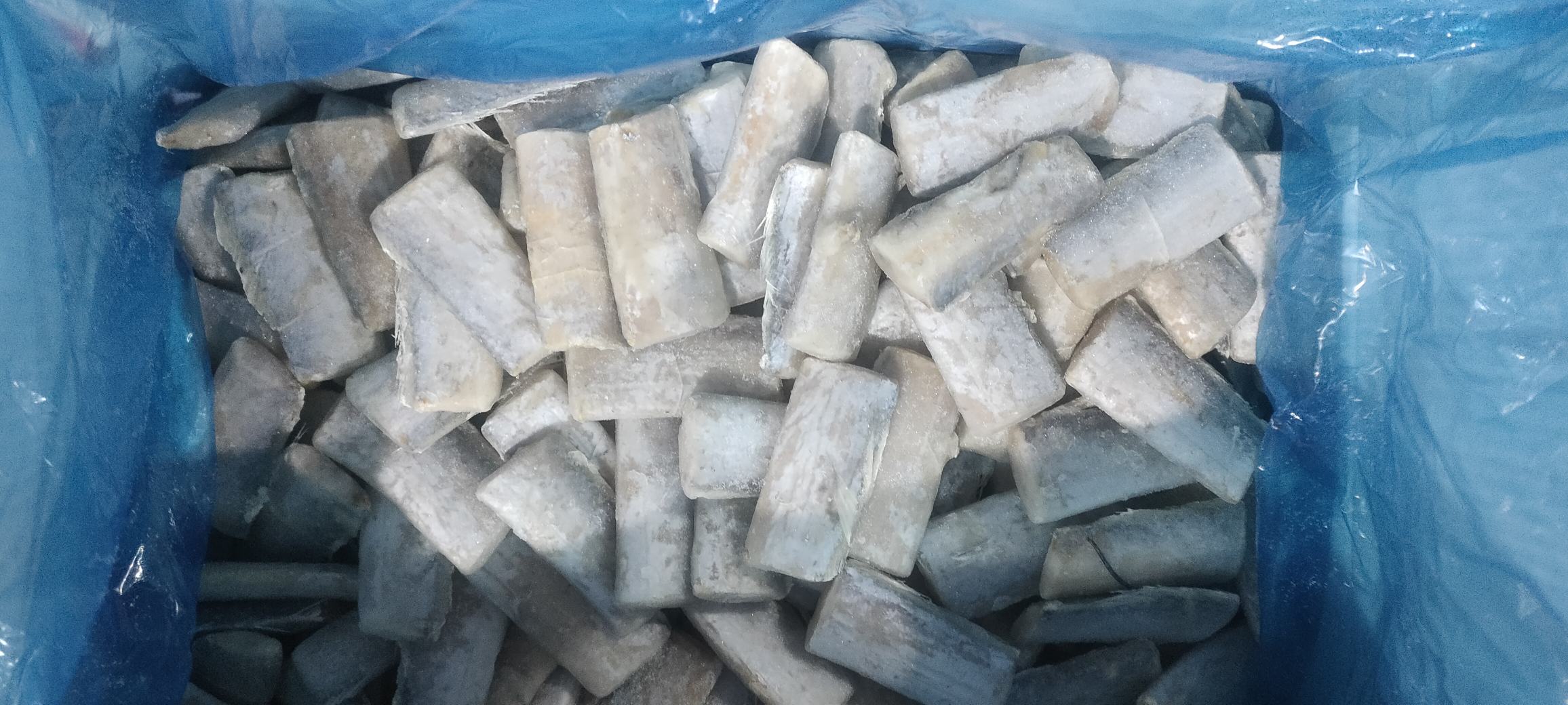 一幅中国东部海域的地图,标注了带鱼的主要分布区域:北起渤海湾,南至南海北部。重点标红三个主渔场——舟山渔场、闽东渔场和粤东渔场,并用箭头表示季节性洄游路线。图例显示水深等值线(50m, 100m, 200m),以及当前禁渔区边界。 带鱼资源分布与主要渔场地图
