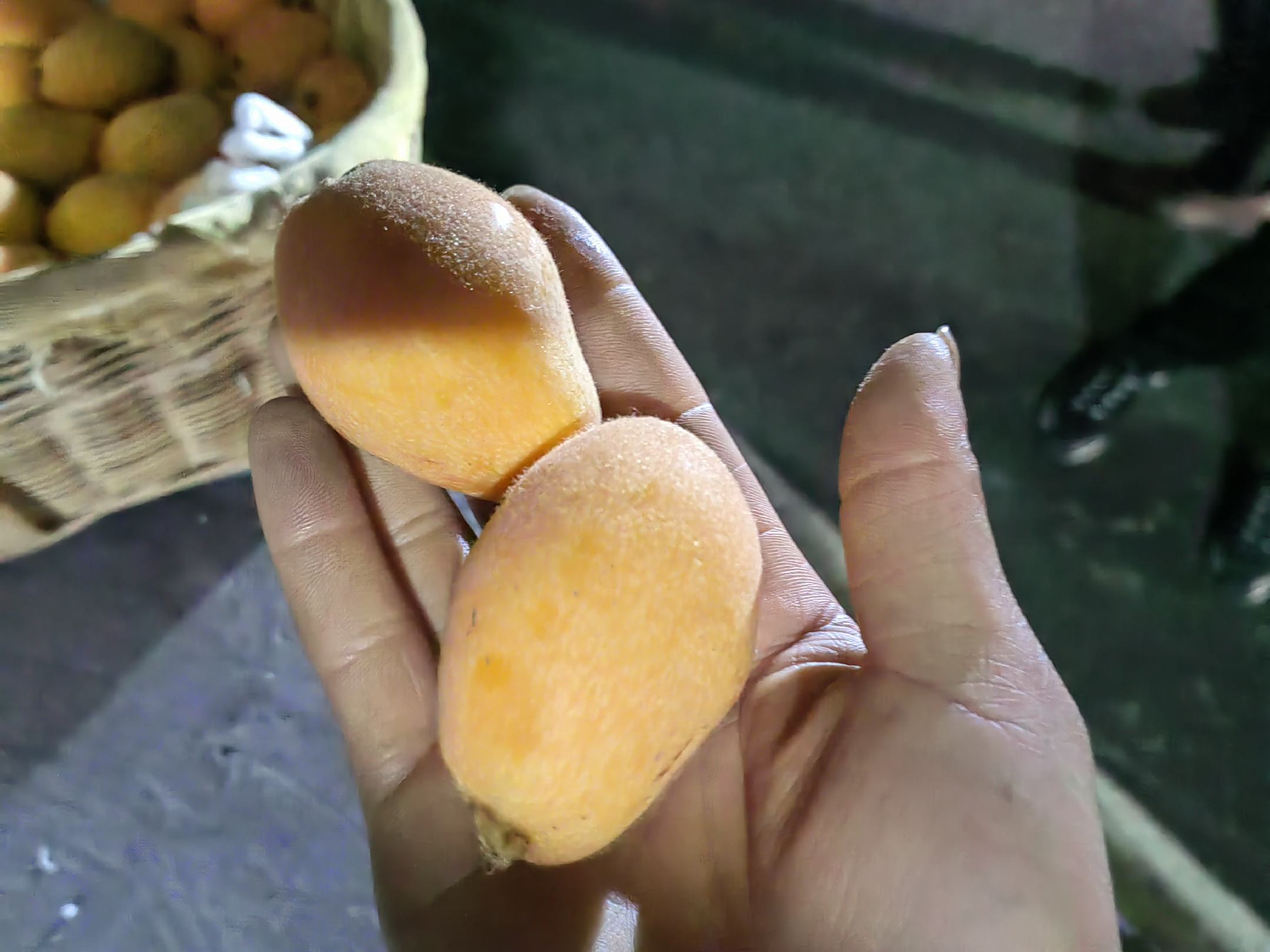 现代分析实验室实景:高效液相色谱仪(HPLC)定量检测枇杷果肉中熊果酸含量,峰值保留时间14.2min,浓度158.7mg/kg,佐证其凉性物质基础的客观存在 实验室检测场景:科研人员正在HPLC仪器前分析枇杷提取物,屏幕上显示熊果酸(Ursolic Acid)标准曲线峰图,操作台摆放着枇杷果肉冻干粉与试剂瓶