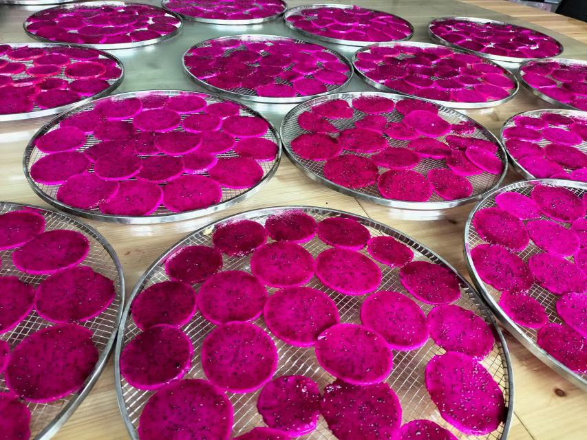 红心火龙果深加工产品展示