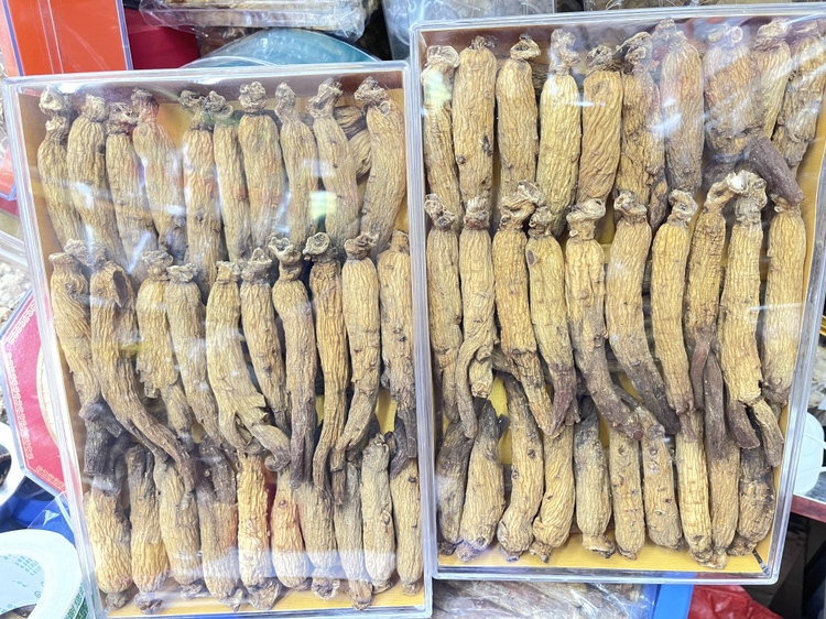 高丽参红参产品包装展示