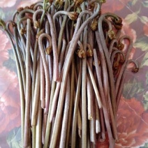 野撅菜