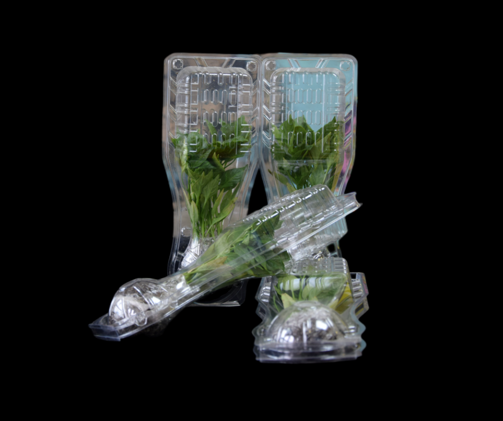 干辣椒干货分享：从挑选到保存的全面指南