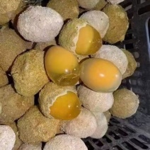 松花鸡皮蛋，150个一件