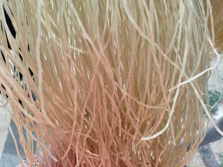 红薯粉条选购对比图