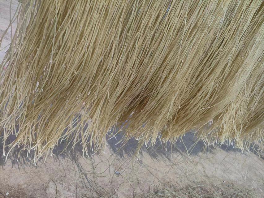 红薯粉条成品展示图