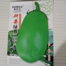 早熟长势强耐热耐老化颜色亮绿不发白商品性好高产稳产杂交种