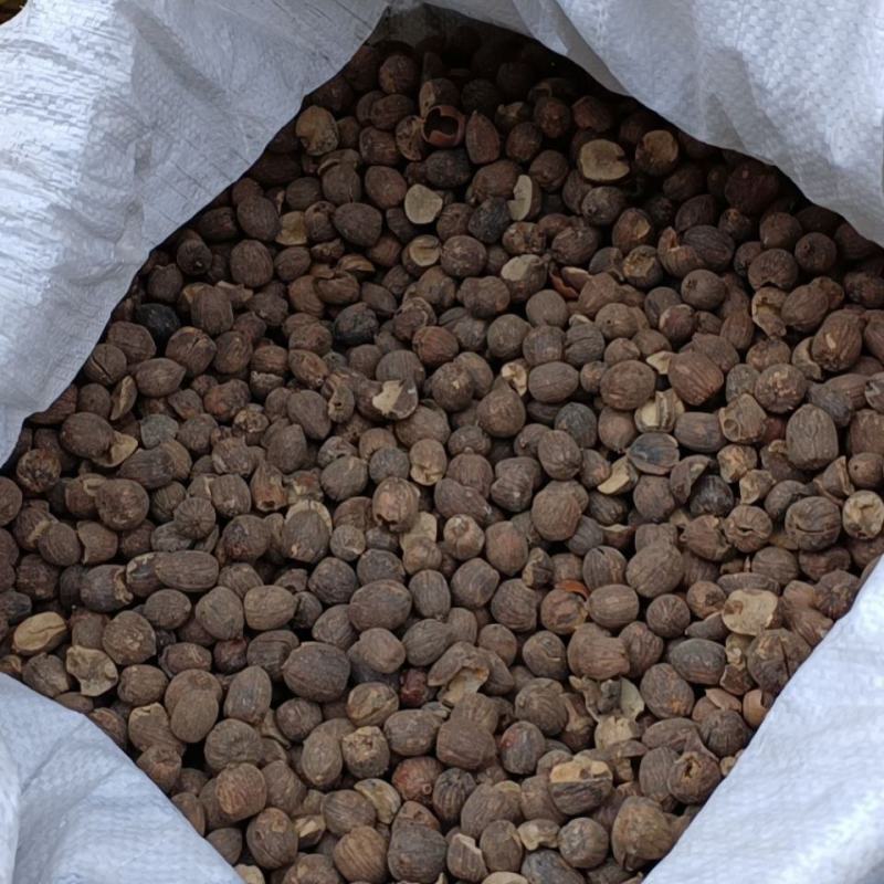 大量供应野生柴子橡子仁米橡择子折子青冈仁脱壳高淀粉