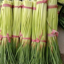 杞县早熟蒜薹即将上市