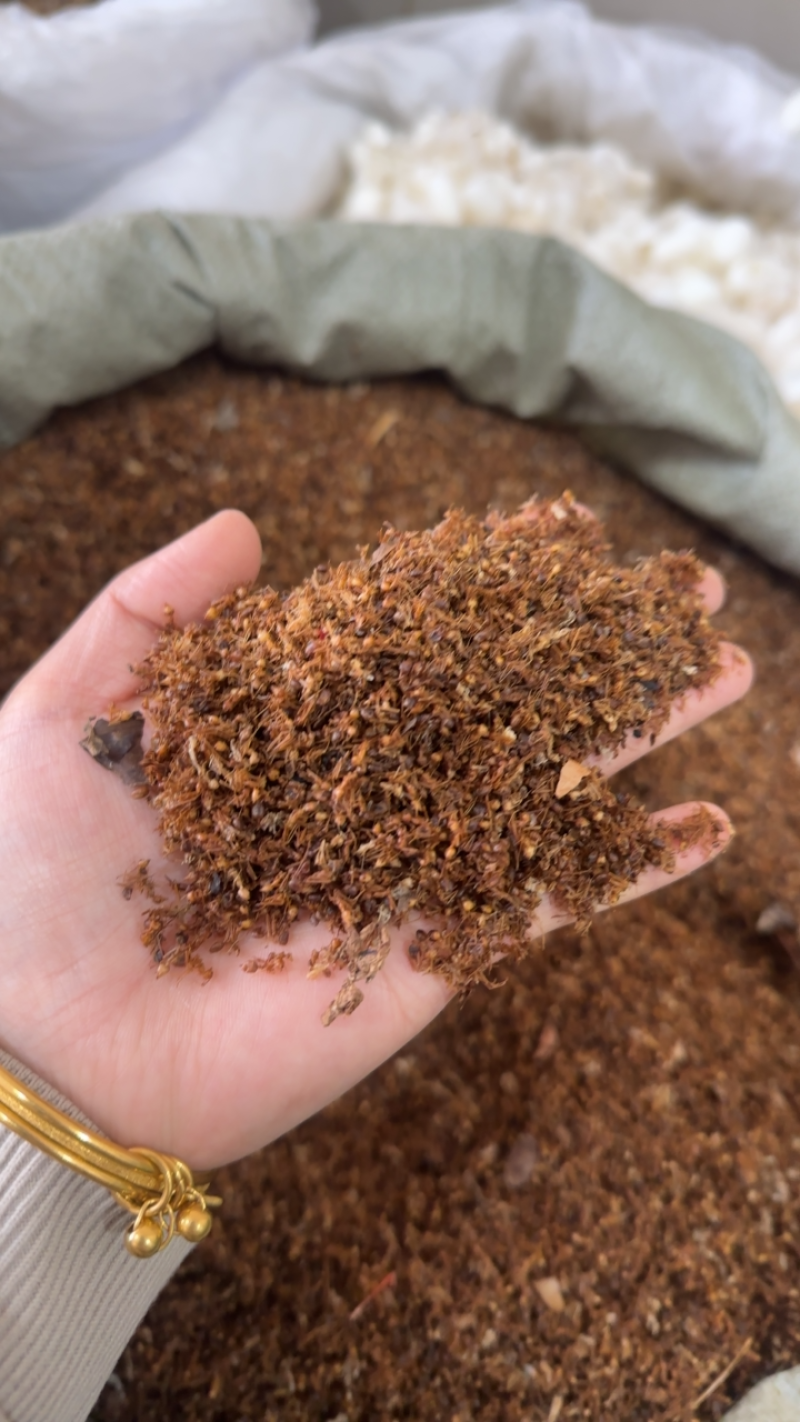 黄蚂蚁中药材全干蚂蚁实体店批发