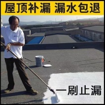 防水补漏屋顶房顶裂缝漏水防水材料楼顶防水涂料胶防水胶聚