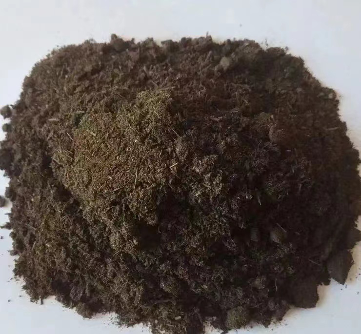 垆土与沙土种植环境对比图