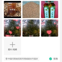 河南省信阳市优质茶油，一手货原，量大从优