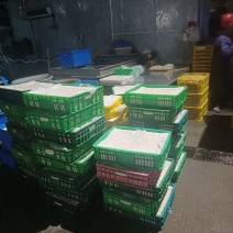 老豆腐