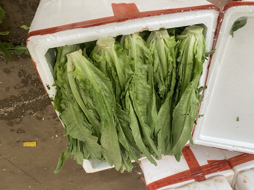 油麦菜的营养价值展示图