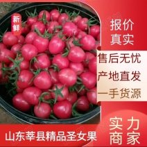 莘县千禧圣女果产地直供电商社区团批发市场