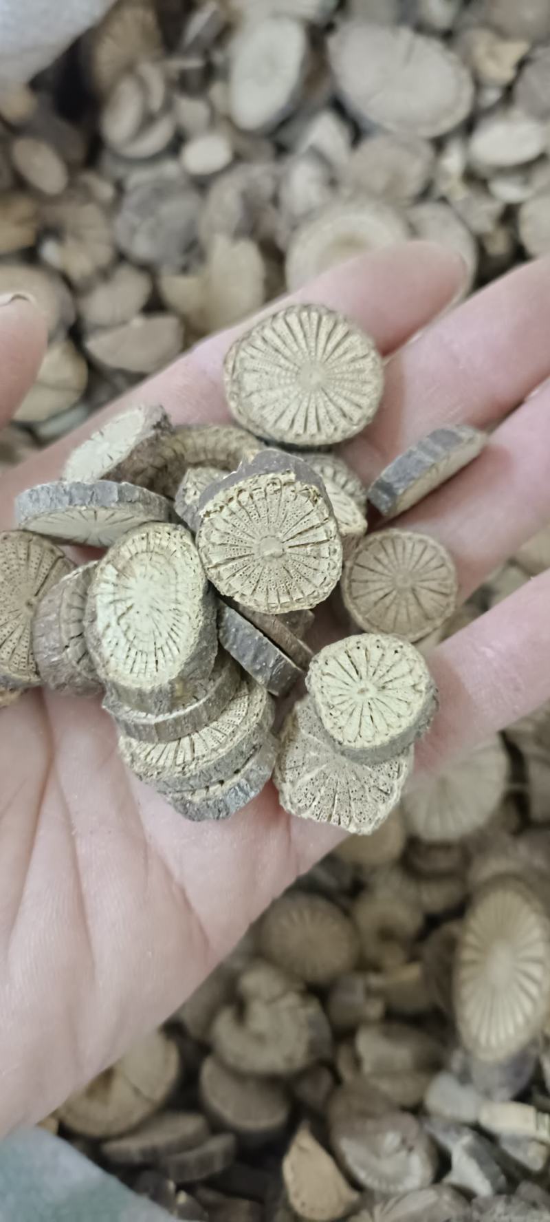 青风藤,中药材批发,足斤足量,货干无硫,欢迎各位老板下单