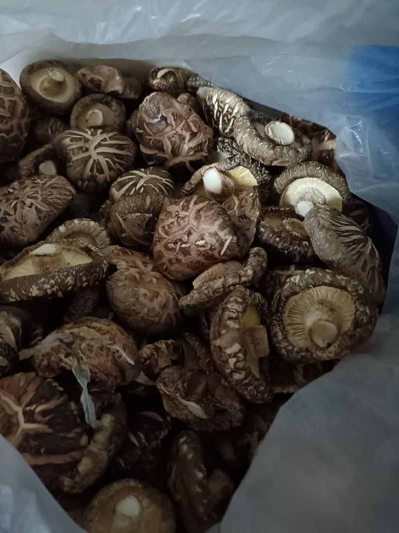 花菇批发