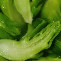 儿菜