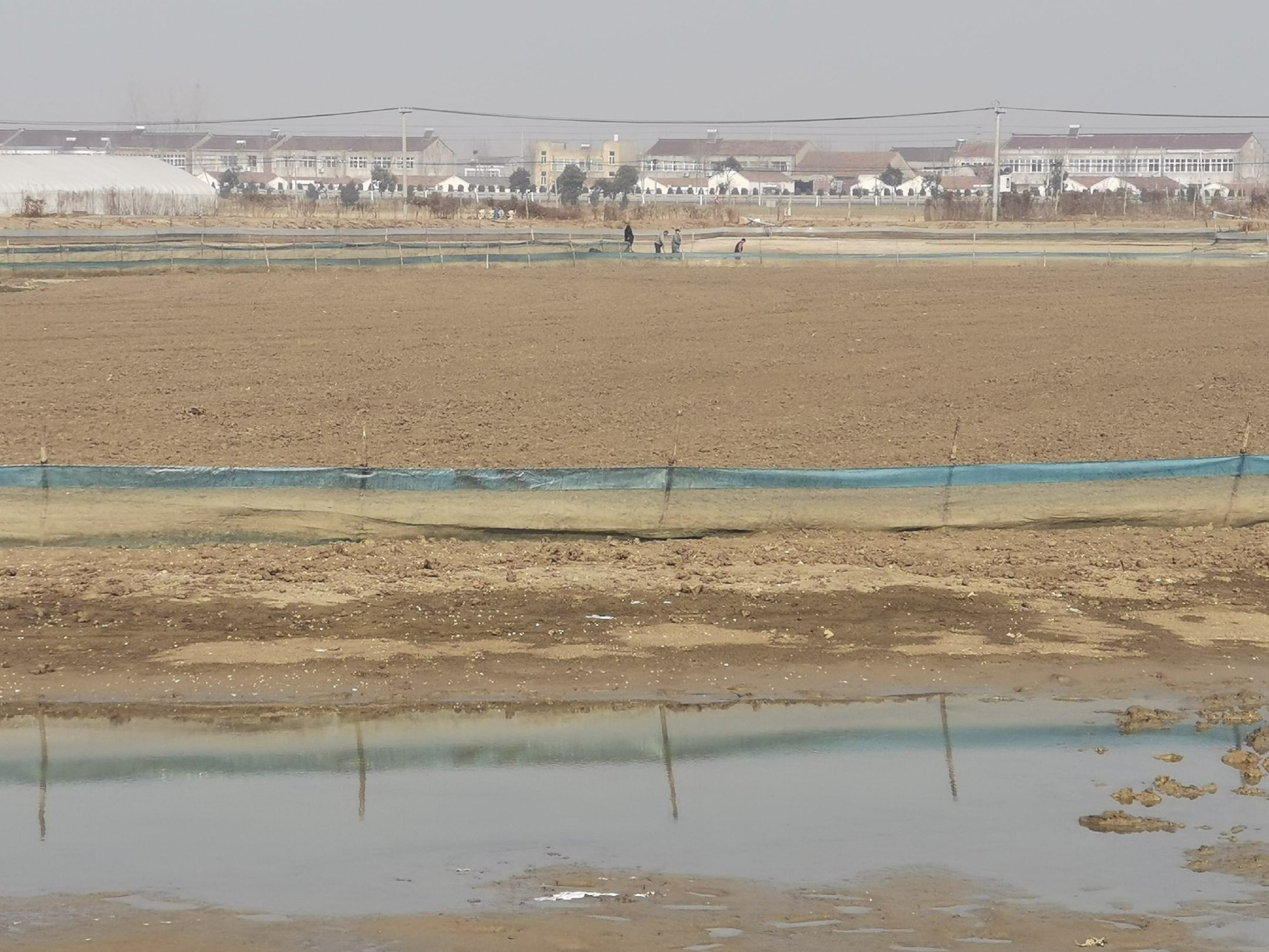 远海梭子蟹养殖池塘投喂示意图