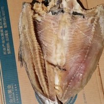 风干鱼腊鱼白鲢咸鱼块