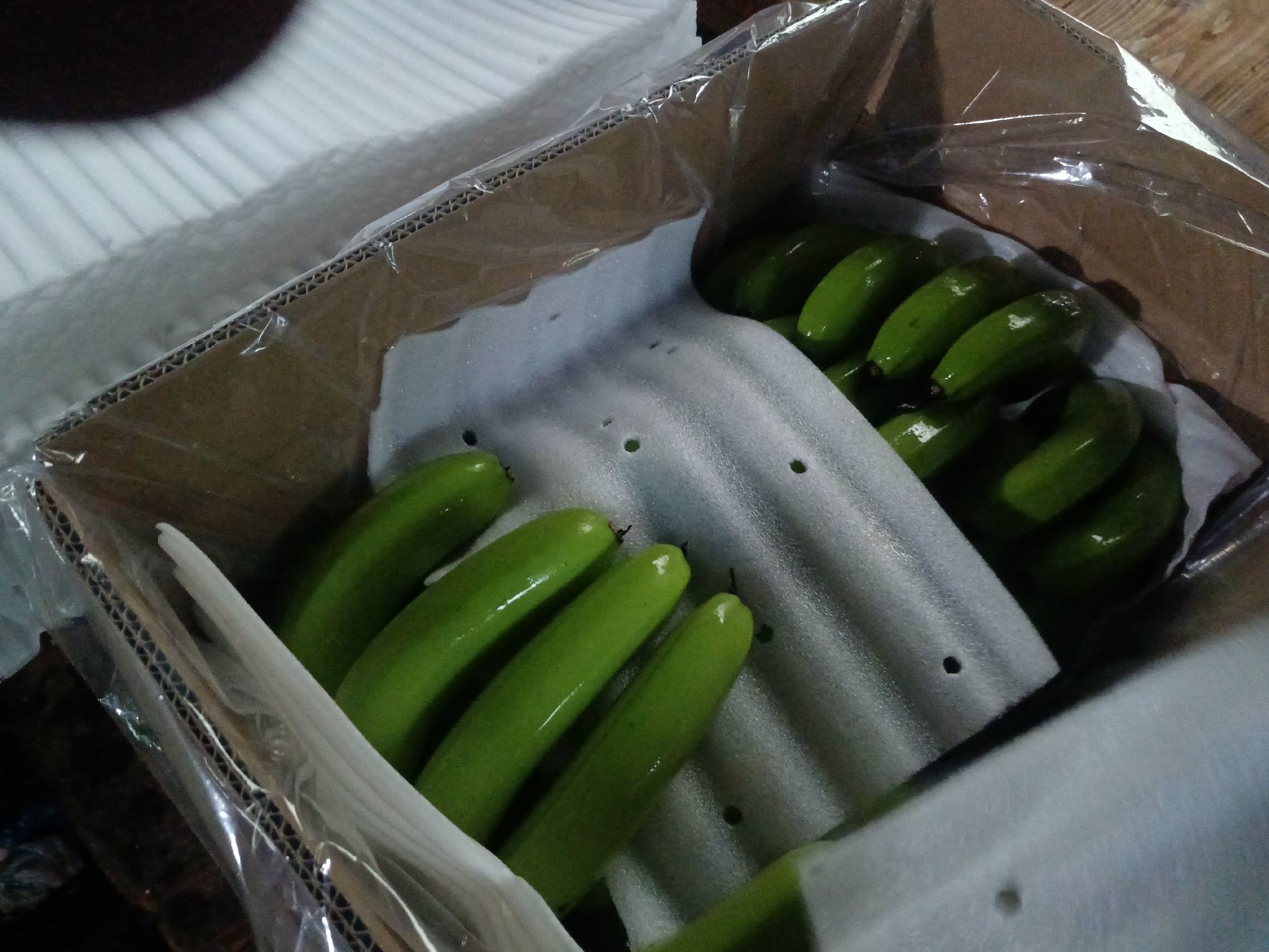 贺州李子包装与物流发货现场