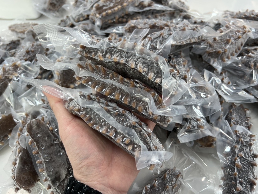 一张高清的保鲜参产品展示图,背景为厨房或超市货架,突显产品包装和参体细节 保鲜参实物展示图