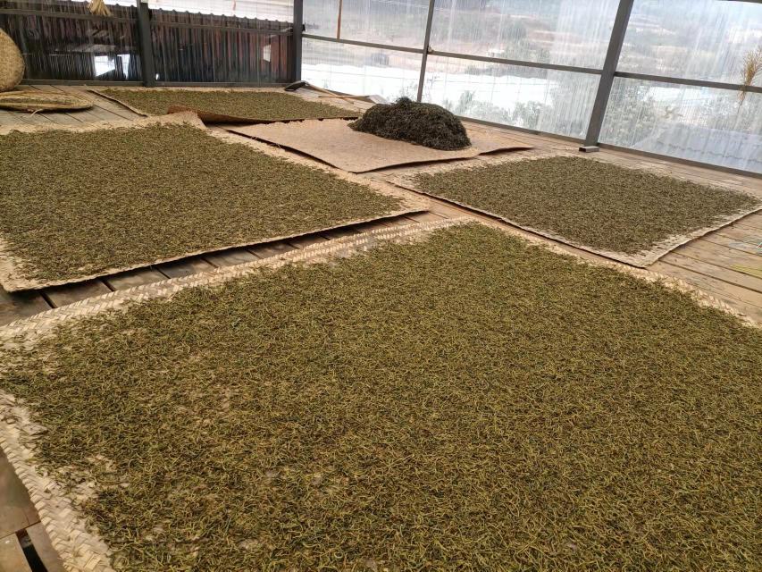 柿叶泡茶图