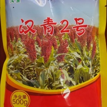 全糯性品种：汉青2号