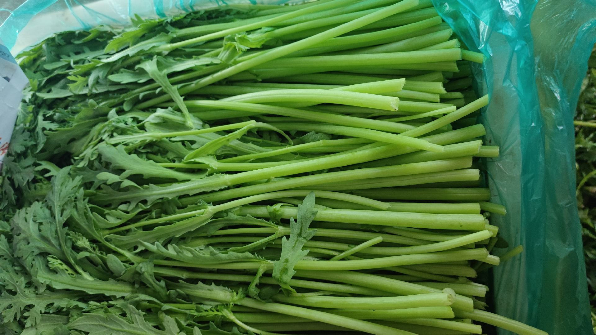 超市蔬菜区摆放整齐的新鲜茼蒿