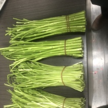 泗阳芦蒿