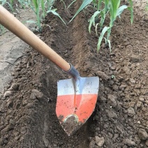 锄头农具种菜家用开沟全钢三角锄园艺锄头木柄包邮种花小尖镐