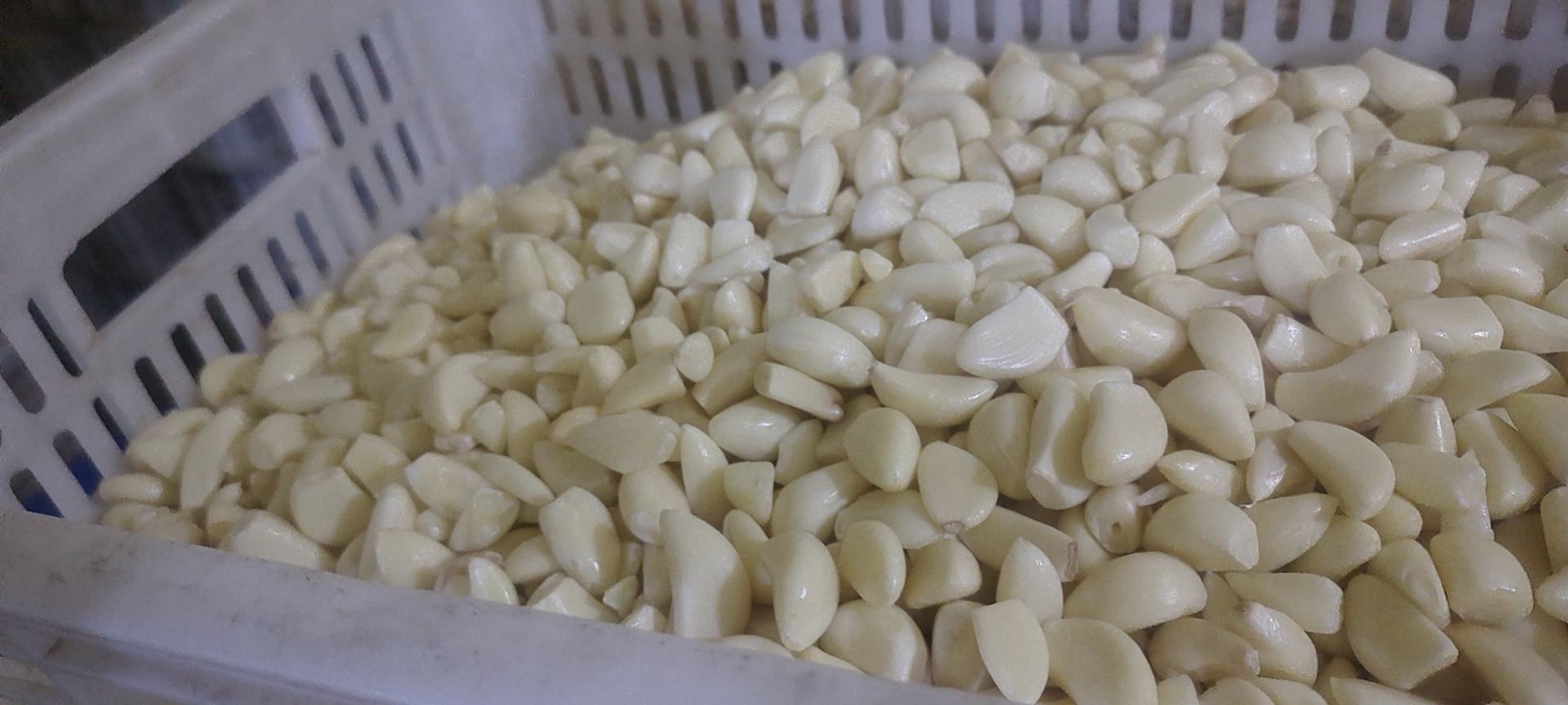 温馨实拍:家庭制作泡蒜米的标准工作台——工具齐全、计量精准、环境洁净,体现‘可复制、易上手’的家庭食品加工理念 家庭厨房场景图:木质操作台上整齐摆放玻璃罐、不锈钢盆、电子秤、计时器、剥好的蒜米与香料,背景可见米醋、生抽、冰糖等配料瓶,整体明亮整洁富有烟火气