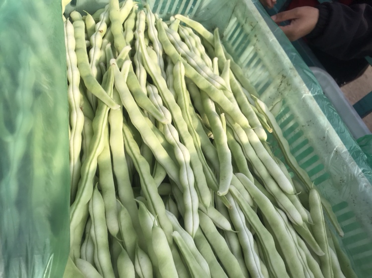 市场摊位上的扁青芸豆