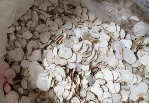 白芷与假冒品对比图