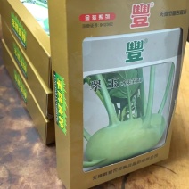 翠玉水果苤蓝种子，球形扁圆，抗病强，质优价廉