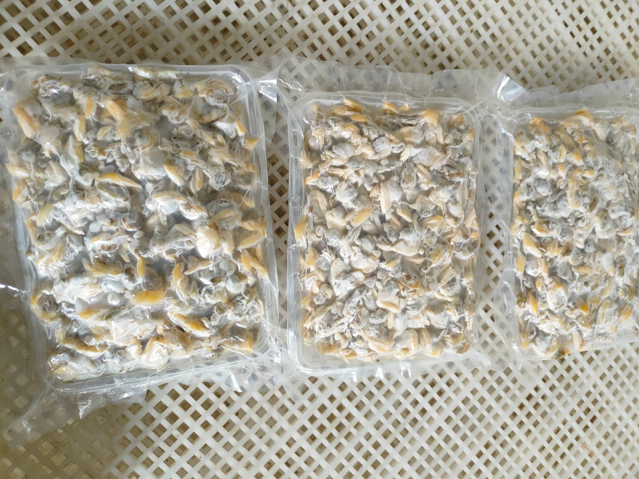 花蛤保存前的准备