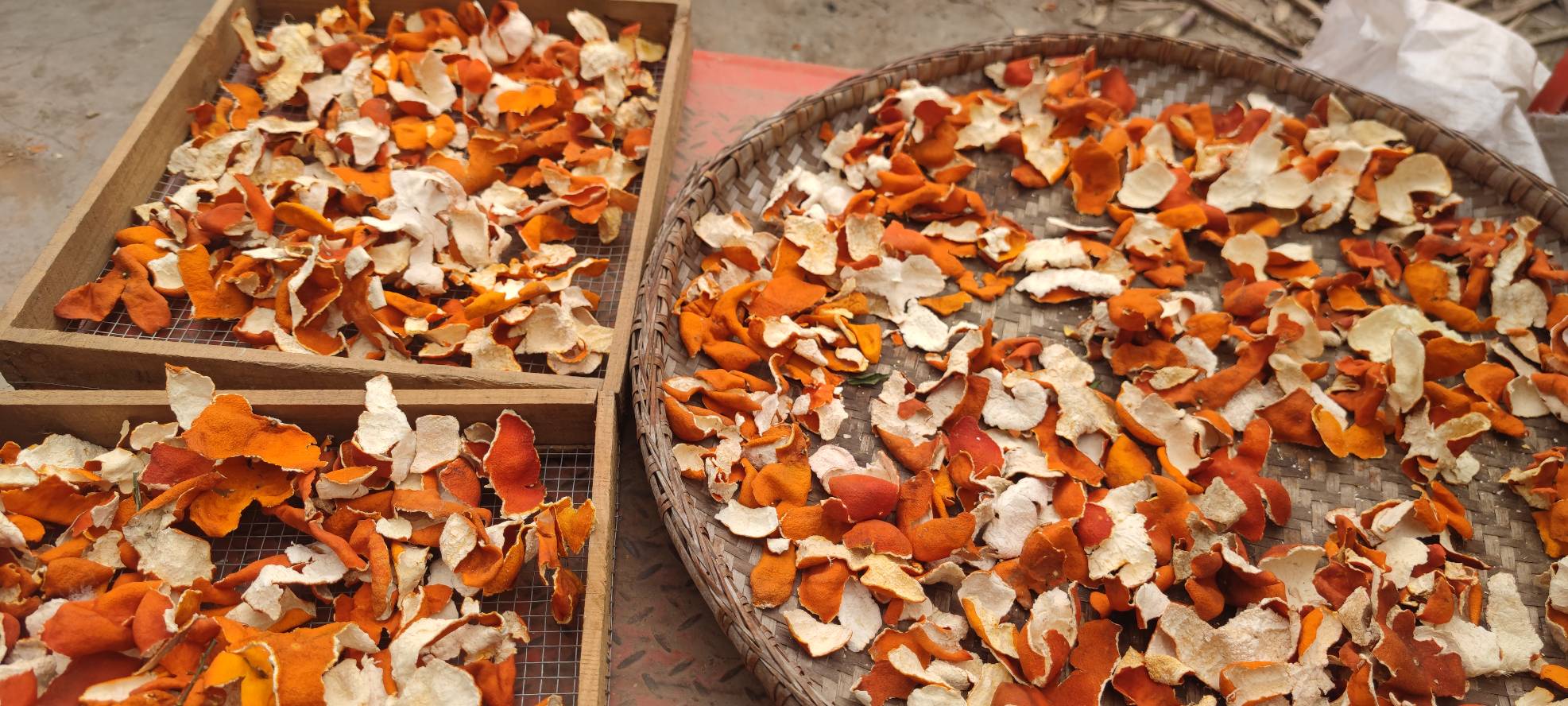 展示烤制完成的冰糖烤橘子,果皮微焦,果肉晶莹 冰糖烤橘子出炉成品图