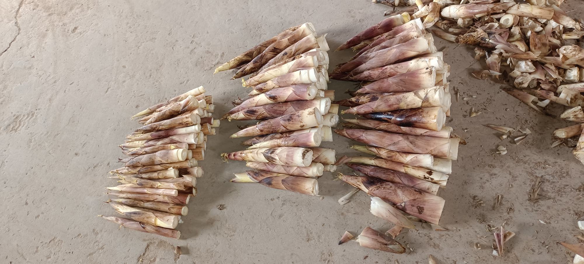 山芹与山竹对比餐桌摆盘